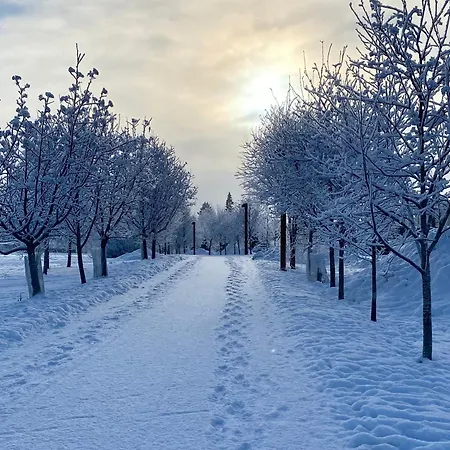 아파트 Sky Jyväskylä